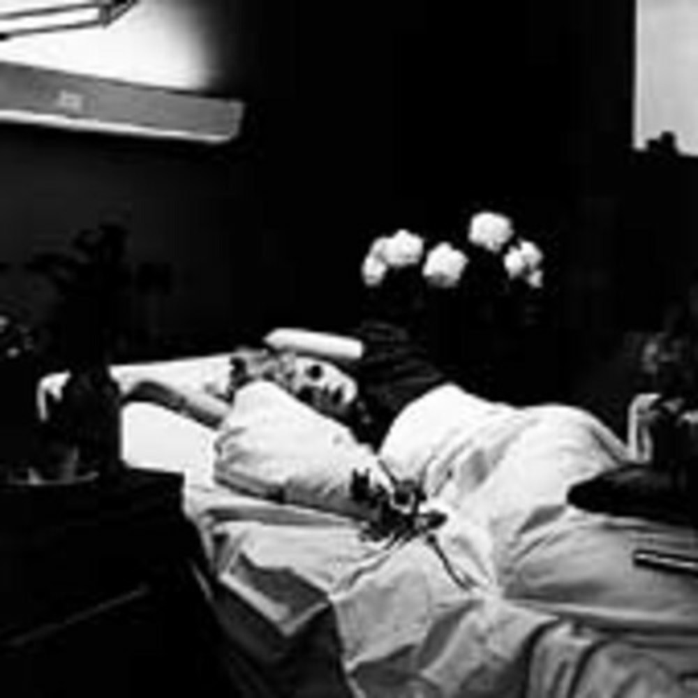 I'm a Bird Now‎ by Antony & the Johnsons (CD, 2005)